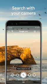 Google Lens screenshot