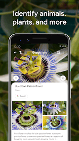 Google Lens screenshot