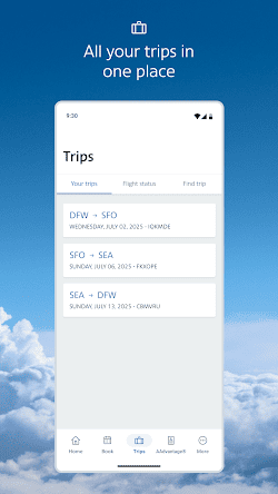 American Airlines screenshot