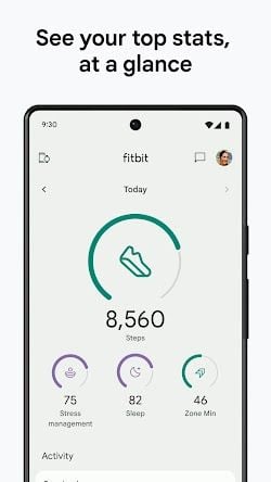 Fitbit screenshot