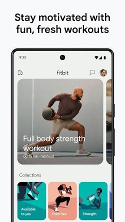 Fitbit screenshot