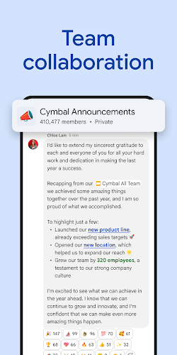 Google Chat screenshot