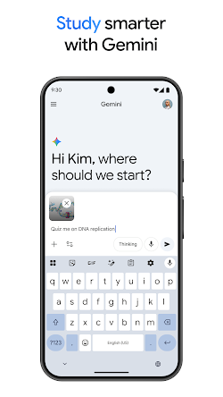 Google Gemini screenshot