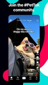 TikTok screenshot